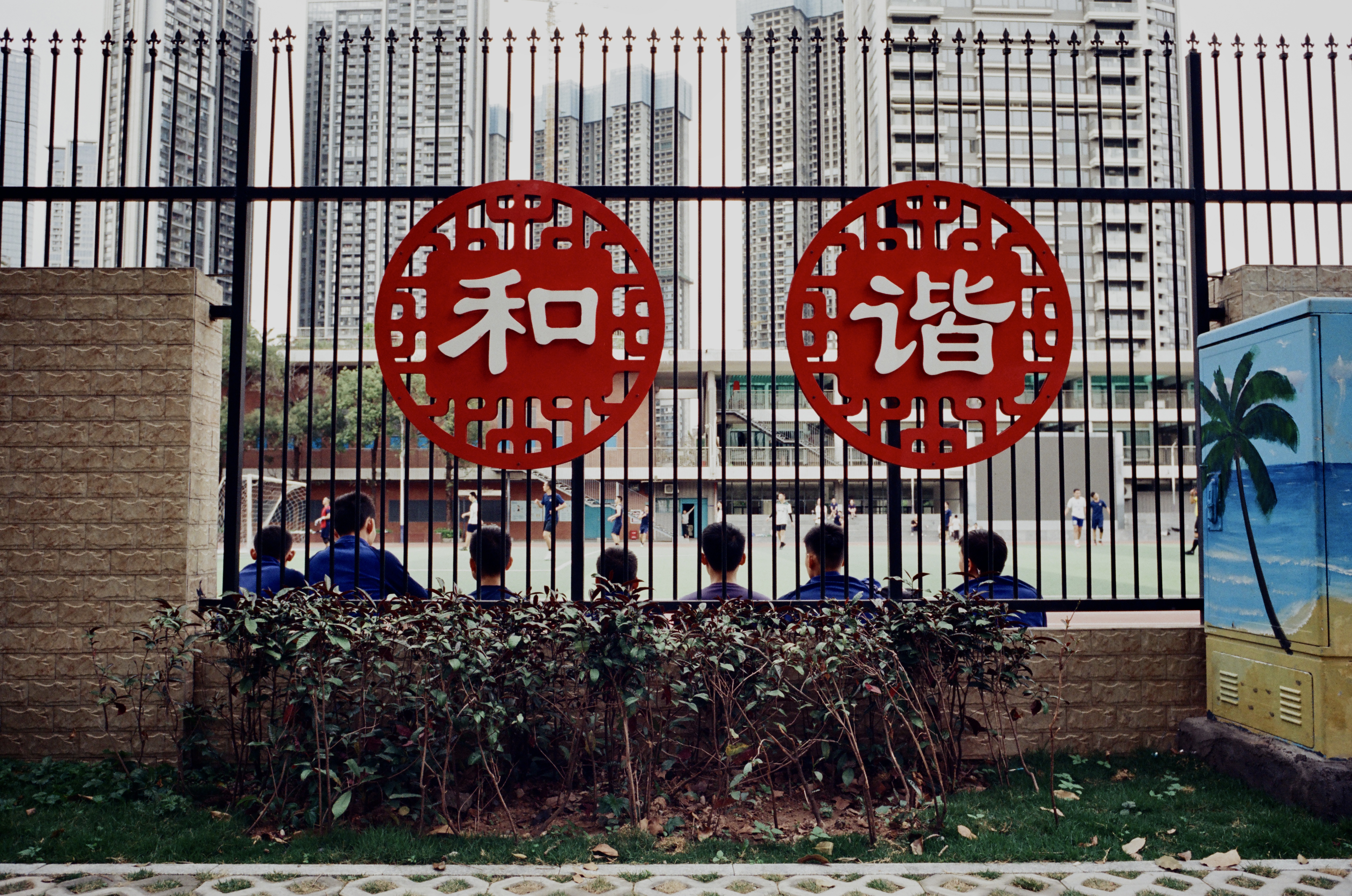 Zehao Wen's photography, Harmony
